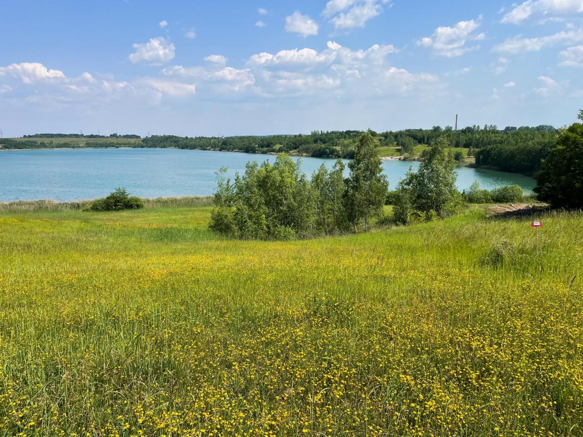 Haus Im Schilf 1 - Ferienwohnungen Am Hainer See Bei Leipzig Neukieritzsch Экстерьер фото